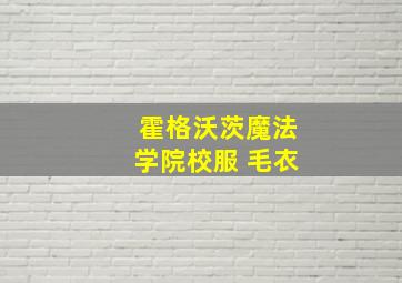 霍格沃茨魔法学院校服 毛衣